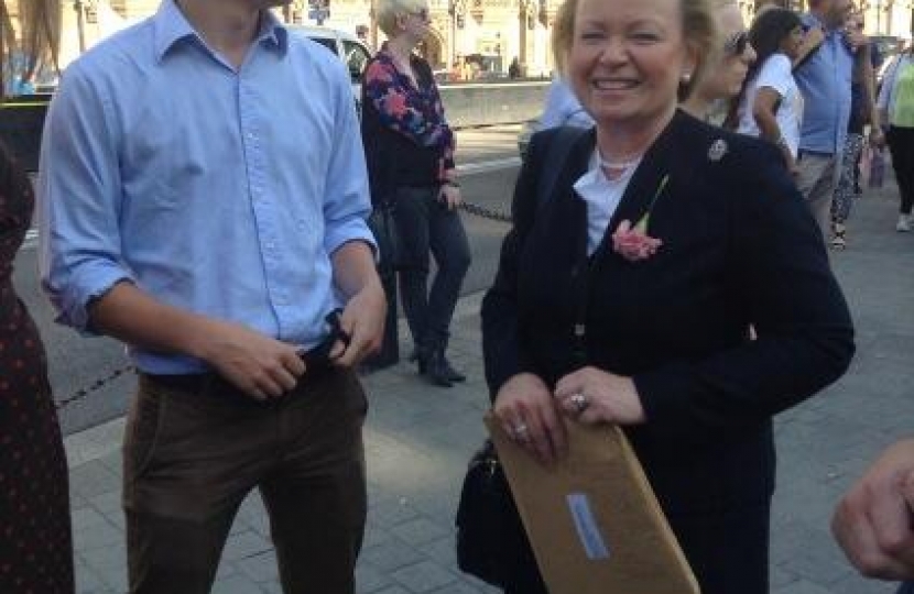 Baroness Noakes, equal marriage, same sex marriage, LGBTory